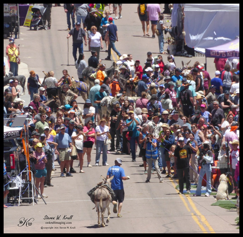 2026 Donkey Derby Days