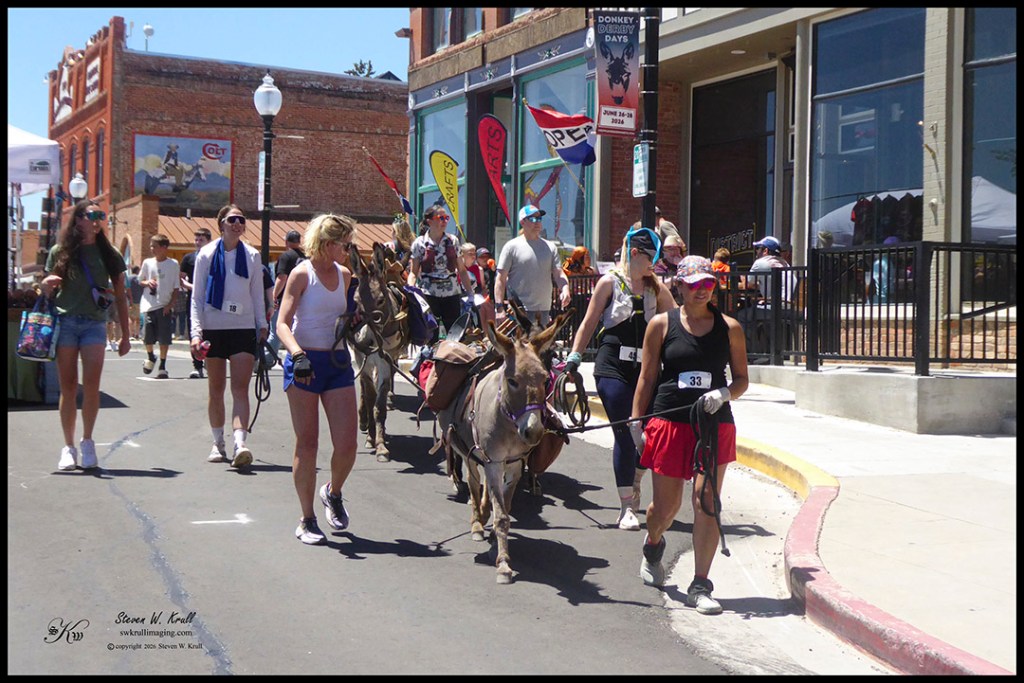 Donkey Derby Days 2026