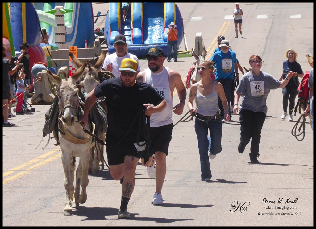 Donkey Derby Days