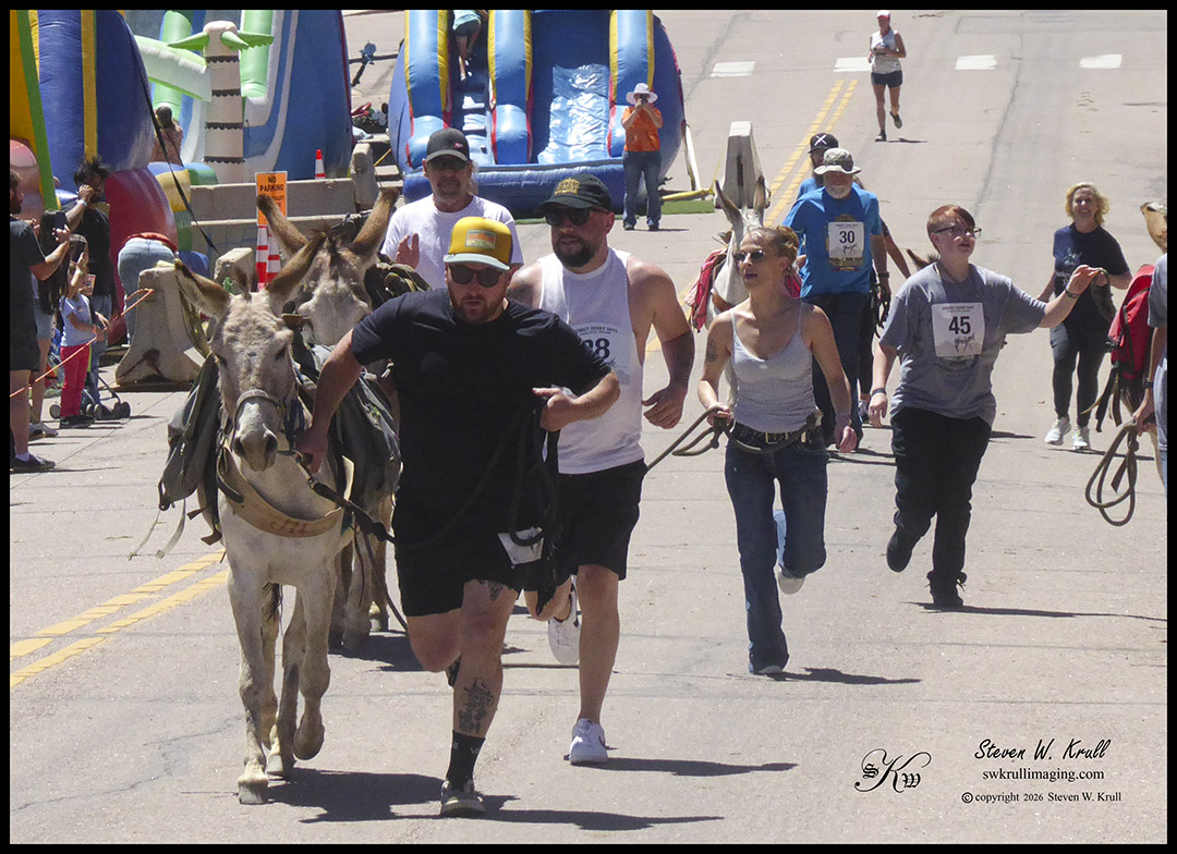 Donkey Derby Days