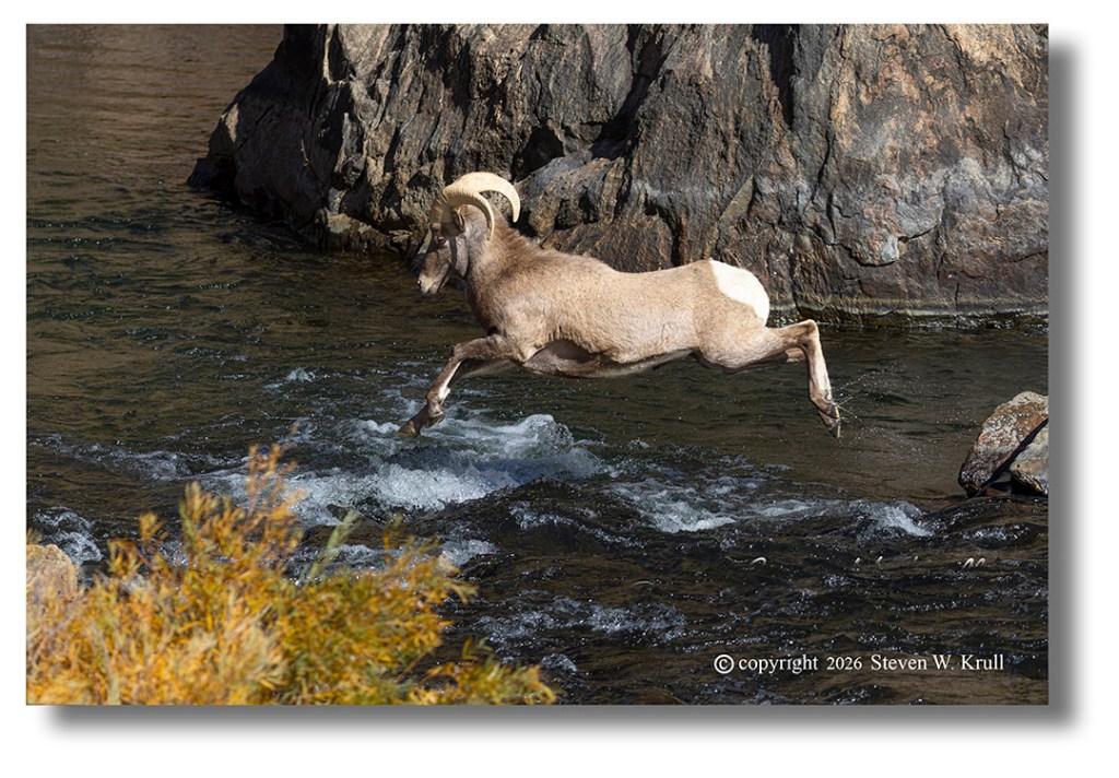 Ram Flight