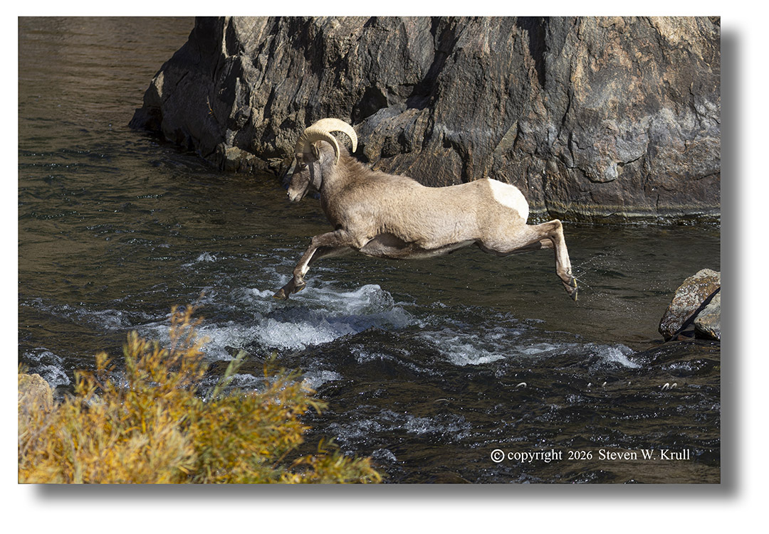 Ram Flight