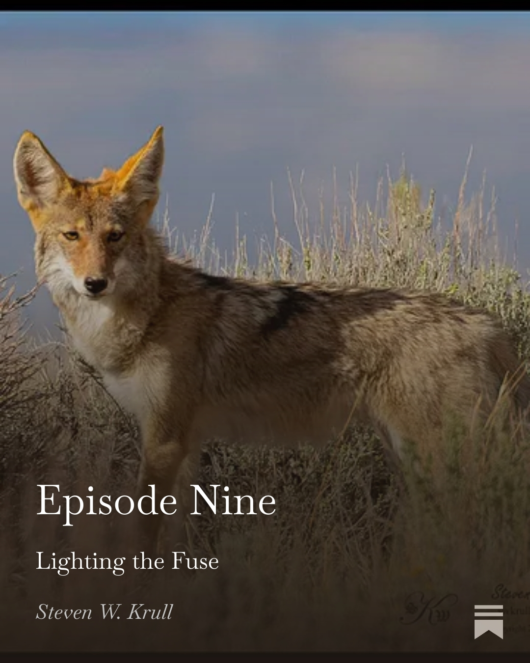 Episode Nine