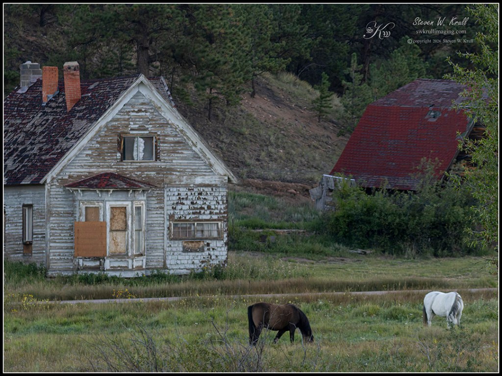 Homestead and Horses